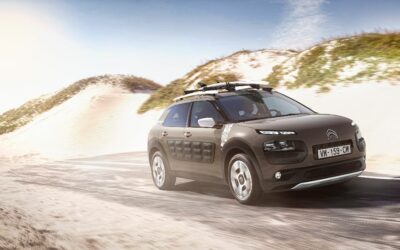 C4 Cactus Ripcurl : un avant-goût d’été