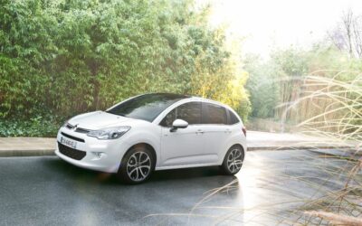 Les conducteurs voient la vie en blanc