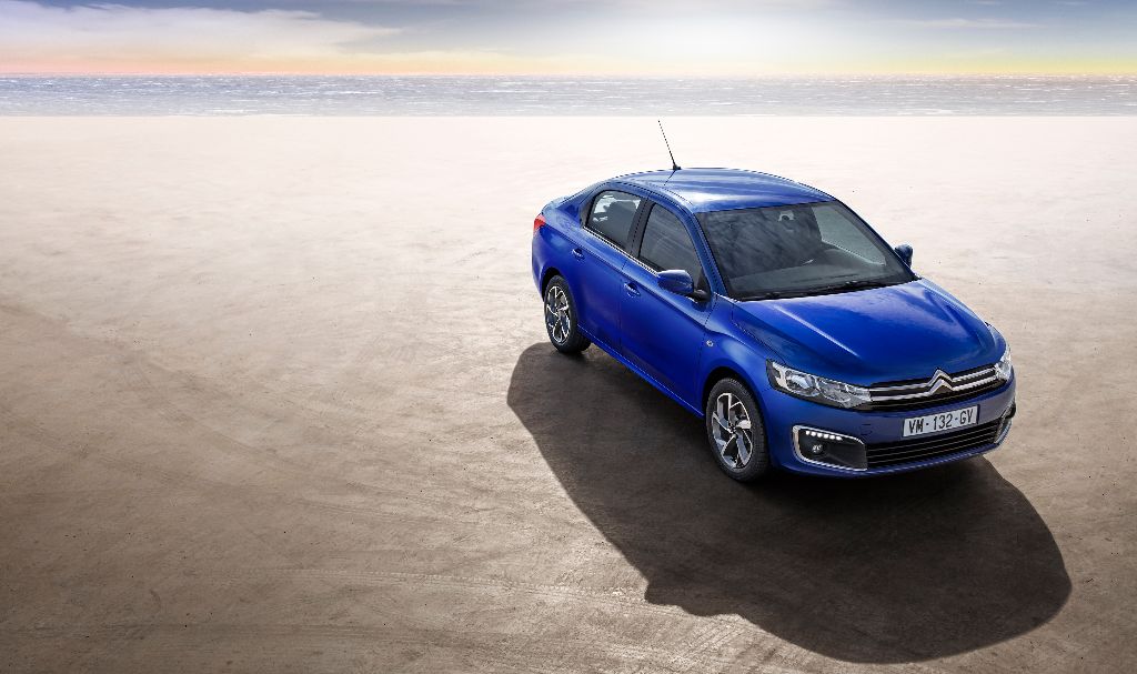 Copyright William Crozes @ Fighting Fish